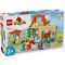 LEGO DUPLO Town Állatok gondozása a farmon 10416